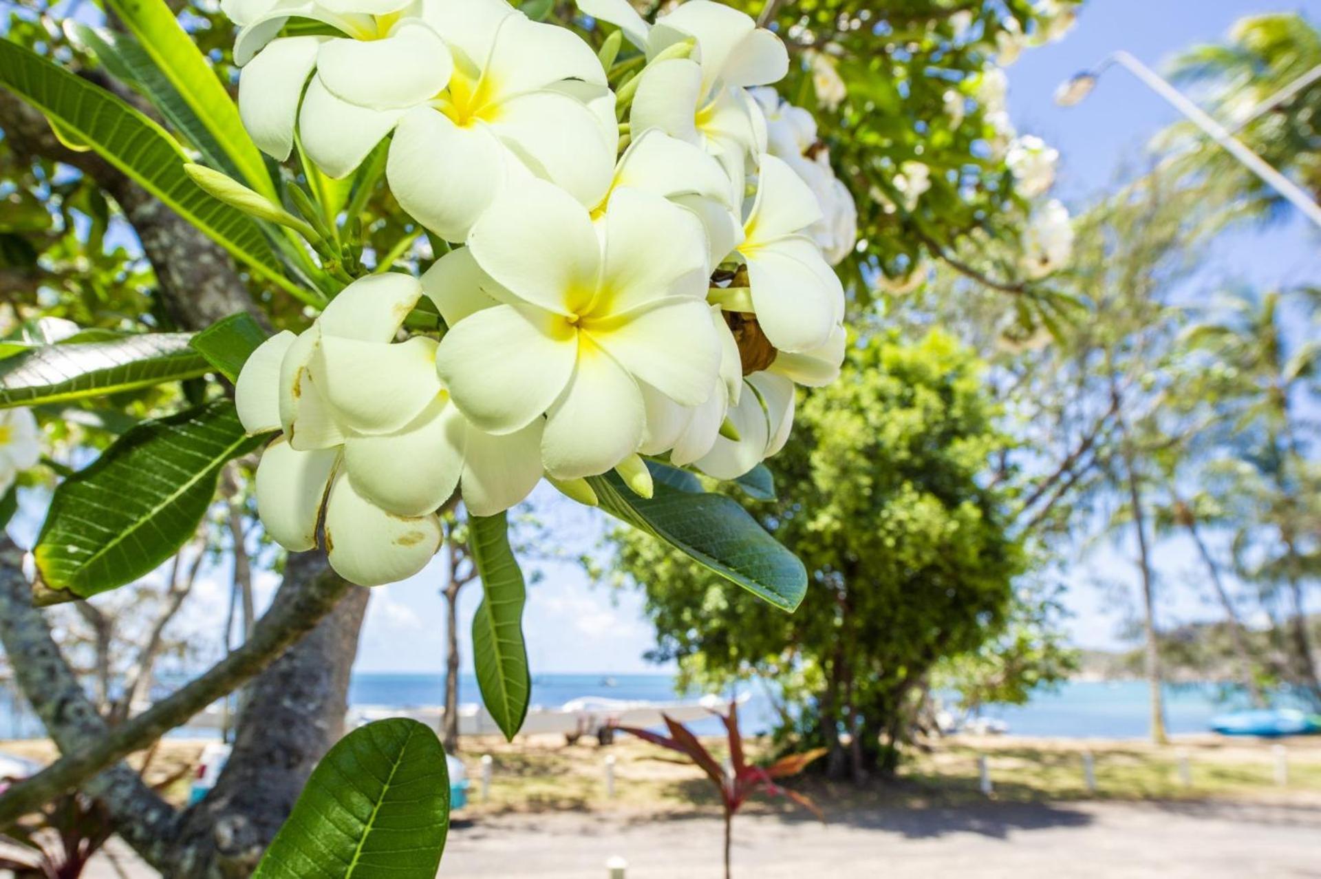 Casa Siboney Villa Horseshoe Bay Екстериор снимка